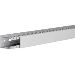 Hager HA760040 vodicí lišta (d x š x v) 2000 x 40 x 60 mm 1 ks světle šedá
