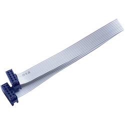 BKL Electronic 10120668 plochý kabel Rastr (rozteč): 2.54 mm 10 x 0.08 mm² šedá 1 ks