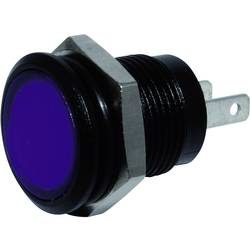 Signal Construct SKED12414 indikační LED modrá 24 V/DC 250 mcd