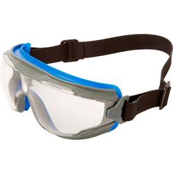 3M Goggle Gear 500 GG501NSGAF-BLU uzavřené ochranné brýle vč. ochrany proti zamlžení modrá, šedá EN 166 DIN 166