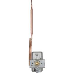 Jumo 60000494 termostat