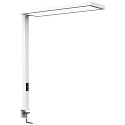 Maul 8258902 LED osvětlení na stěnu/strop LED Světelný zdroj může vyměnit kvalifikovaný elektrikář 18 W bílá