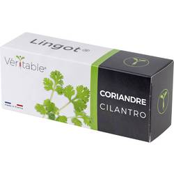 Veritable Náplň do vnitřní zahrady Lingot Koriander 128 mm 1 ks
