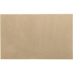 Rademacher WR-Typ 811-5 DPS tvrzený papír (d x š) 16 cm x 10 cm 35 µm Rastr (rozteč) 2.54 mm Množství 1 ks