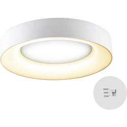 EVN R40250125 LED stropní svítidlo 25 W bílá