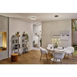 Paulmann 79518 Pane II LED stropní svítidlo LED LED 23 W černá, šedá