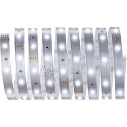 Paulmann MaxLED Stripe Daylight 79858 LED pásek konektor 2.5 m denní bílá Piece 1 ks
