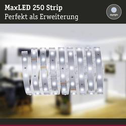 Paulmann MaxLED Stripe Daylight 79858 LED pásek konektor 2.5 m denní bílá Piece 1 ks