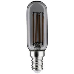 Paulmann 28866 LED E14 svíčkový tvar 4 W zlatá (Ø x v) 25 mm x 82 mm stmívatelná 1 ks