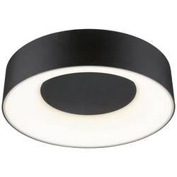 Paulmann 71096 Casca LED stropní svítidlo LED pevně vestavěné LED 16 W černá (matná)