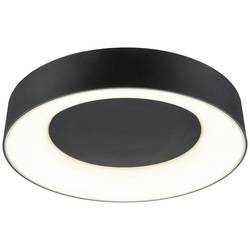 Paulmann 71097 Casca LED stropní svítidlo LED 23 W černá (matná)