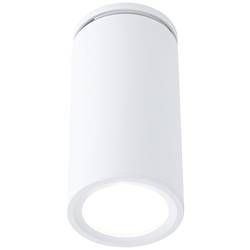Paulmann Turnal Coin 3SD EBL weiß 93086 LED vestavné svítidlo LED LED 6 W bílá (matná)