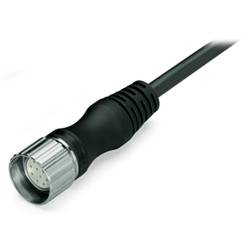 WAGO WAGO GmbH & Co. KG upravený zástrčkový konektor pro senzory - aktory, 756-3203/190-100, piny: 12, 10.00 m, 1 ks
