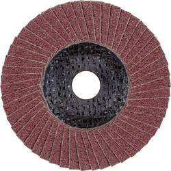 PFERD TOOLS 67608100 PFF 100 A 80 SG STEELOX/16,0 vějířovitý brusný kotouč Průměr 100 mm Ø otvoru 16 mm Zrnitost 80 nerezová ocel, ocel 10 ks