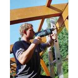 Heller 25723 7 hadovitý vrták 8 mm Celková délka 300 mm šestihran 1 ks