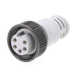 Molex 1300390376 konektor akčního/snímacího členu zásuvka Počet pólů: 5 1 ks