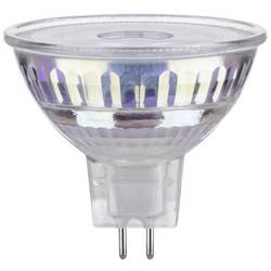 Paulmann 29141 LED Energetická třída (EEK2021) F (A - G) GU5.3 3.8 W teplá bílá (Ø x v) 50 mm x 44 mm 1 ks