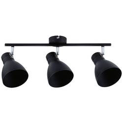 Paulmann PAULMANN 66761 stropní lampa E27 černá