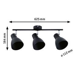 Paulmann 66761 stropní lampa E27 10 W černá