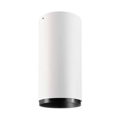 Deko Light Lucea 20 Stropní svítidlo 3fázové pevně vestavěné LED 20 W COB LED Energetická třída (EEK2021): F (A - G) Dopravní bílá (RAL 9016)