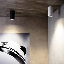 Deko Light Lucea 30 Stropní svítidlo 3fázové pevně vestavěné LED 30 W LED Energetická třída (EEK2021): F (A - G) Dopravní bílá (RAL 9016)