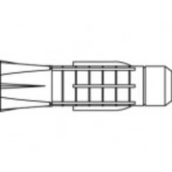 TOOLCRAFT TO-5455083 hmoždinka 31 mm 100 ks