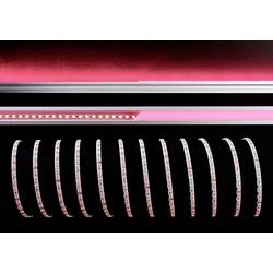 Deko Light 840276 LED pásek volný konec 24 V/DC 5000 mm RGB 5 m