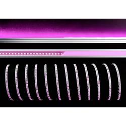 Deko Light 840276 LED pásek volný konec 24 V/DC 5000 mm RGB 5 m