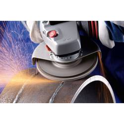 PFERD TOOLS 67608125 A Sg Steelox vějířovitý brusný kotouč Průměr 125 mm Ø otvoru 22.23 mm Zrnitost 80 10 ks