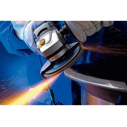 PFERD TOOLS 67608125 A Sg Steelox vějířovitý brusný kotouč Průměr 125 mm Ø otvoru 22.23 mm Zrnitost 80 10 ks