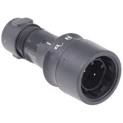 Bulgin PXP6010/02P/ST/0507 kulatý konektor DIN, 1 ks