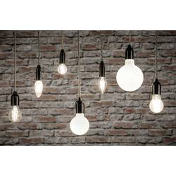 Paulmann 29095 LED Energetická třída (EEK2021) F (A - G) E14 svíčkový tvar 4.8 W teplá bílá (Ø x v) 35 mm x 98 mm vlákno 5 ks