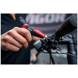 Vigor dílna hvězdicový šroubovák Velikost šroubováku T 30 Délka dříku: 132 mm