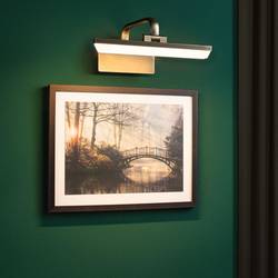Paulmann Renan 95568 LED osvětlení obrázků 6 W teplá bílá mosaz