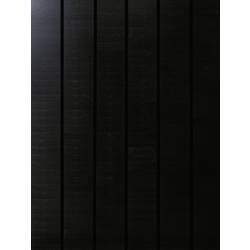 Phaesun Sun Pearl 150 monokrystalický solární panel, 150 Wp, 12 V