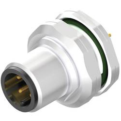 Weidmüller SAIE-M12S-5-H5.5TL-PG9 vestavný zástrčkový konektor pro senzory - aktory, 2422160000, piny: 5, 1 ks