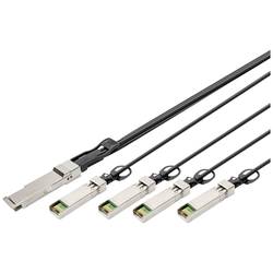 Digitus DN-81322 optické vlákno / SFP+ optické vlákno, PC kabel [1x QSFP+ - 4x SFP+ ] 2 m