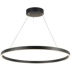 SLV ONE 80 1004763 LED závěsný lustr LED pevně vestavěné LED 28 W černá