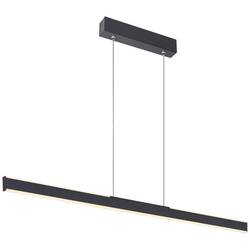 SLV ONE LINEAR 100 1006185 LED závěsný lustr LED pevně vestavěné LED 24 W černá