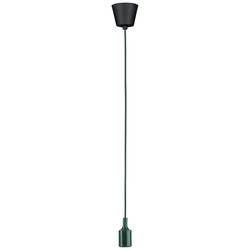 Paulmann 78429 závěsné světlo E27 60 W zelená, černá
