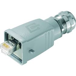 Weidmüller IE-PS-V05M-RJ45-TH datový zástrčkový konektor pro senzory - aktory, 1963110000, 10 ks