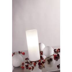 Paulmann Noora 77010 stolní lampa halogenová žárovka E14 40 W opálová