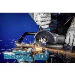 PFERD TOOLS 69198299 lamelový kotouč Průměr 125 mm Zrnitost=60 1 sada