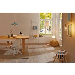 Paulmann Neordic Juna 79651 stolní lampa LED E14 20 W dřevo, měděná, zelená Soft