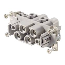 HDC insert, Female, 830 V, 80 A, No. of poles: 6, Screw connection, Size: 6