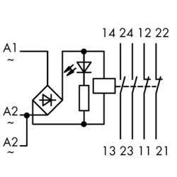 WAGO 789-536 průmyslové relé , 24 V/DC, 24 V/AC, 4 A, 2 spínací kontakty, 2 rozpínací kontakty, 1 ks