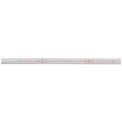 Deko Light Long Run 840404 LED pásek Energetická třída (EEK2021): F (A - G) volný konec 48 V 50 m teplá bílá 1 ks
