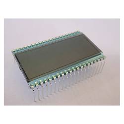 Display Elektronik LCD displej DE129RS-20/12.2
