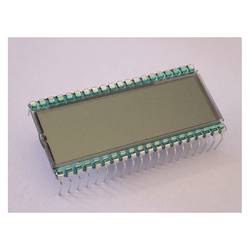 Display Elektronik LCD displej DE151RS-20/7.5