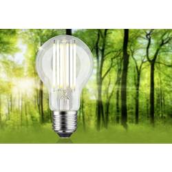 Paulmann 29219 LED Energetická třída (EEK2021) A (A - G) E27 válcový tvar 5 W teplá bílá (Ø x v) 60 mm x 106 mm vlákno 1 ks